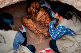 Encuentran en Perú 14 momias preincaicas de casi 1.000 años de antigüedad