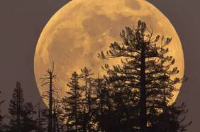 Luna del Ciervo, la primera superluna de 2023, se verá esta madrugada en Chile