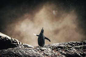 ¿Qué tan mal está el mundo por el cambio climático? Las 7 revelaciones de la Organización Mundial Meteorológica