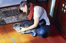 Juzgado Civil de Santiago acoge demanda de Carozzi contra Masterfoods por competencias desleal por uso de la frase “8 de cada 10 gatos prefiere Whiskas”