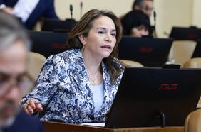 Joanna Pérez (Demócratas): “Si el gobierno no implementa el voto obligatorio, hay un incumplimiento a la Constitución”