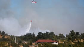 Incendio forestal en Maule: Senapred solicita evacuar Loteo San Francisco