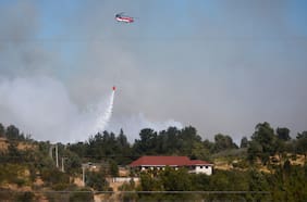 Incendio forestal en Maule: Senapred solicita evacuar Loteo San Francisco
