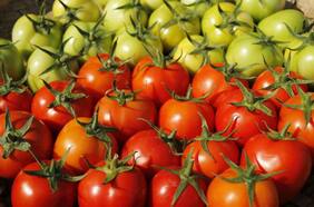 “Si la gente supiera qué tienen la lechuga o el tomate, ya no comería”