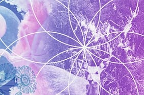 El explorador de la conciencia