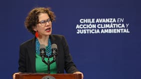 Tras fallo judicial: Gobierno destaca rechazo del Comité de Ministros al proyecto Dominga