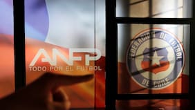 Otro golpe al Tribunal de Disciplina: se rechaza la denuncia contra Sebastián Pini por infringir el Código de Ética
