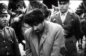 Cineteca Nacional celebra el Mes del Patrimonio con un puñado de películas gratis