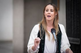 Sedini acusa “sabotaje” de la oposición a la megarreforma por intención de copar el debate con tsunami de indicaciones