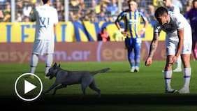 “Ataca también el perro”: Un cómico momento se vivió en el partido entre Rosario Central y Tigre