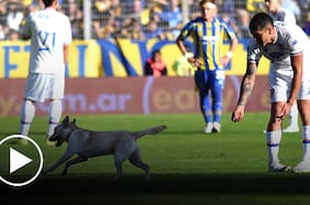 “Ataca también el perro”: Un cómico momento se vivió en el partido entre Rosario Central y Tigre