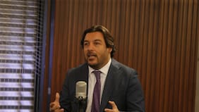 Jefe de diputados PS: “Yo ya hago reserva constitucional respecto de la eventual invariabilidad tributaria por 25 años”