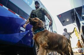 En medio de fiscalizaciones por fin de semana largo: chofer de bus con destino a Las Cabra dio positivo a cocaína