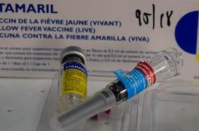 Brasil, el destino preferido por los chilenos para el 18, en alerta por aumento de casos y letalidad de fiebre amarilla