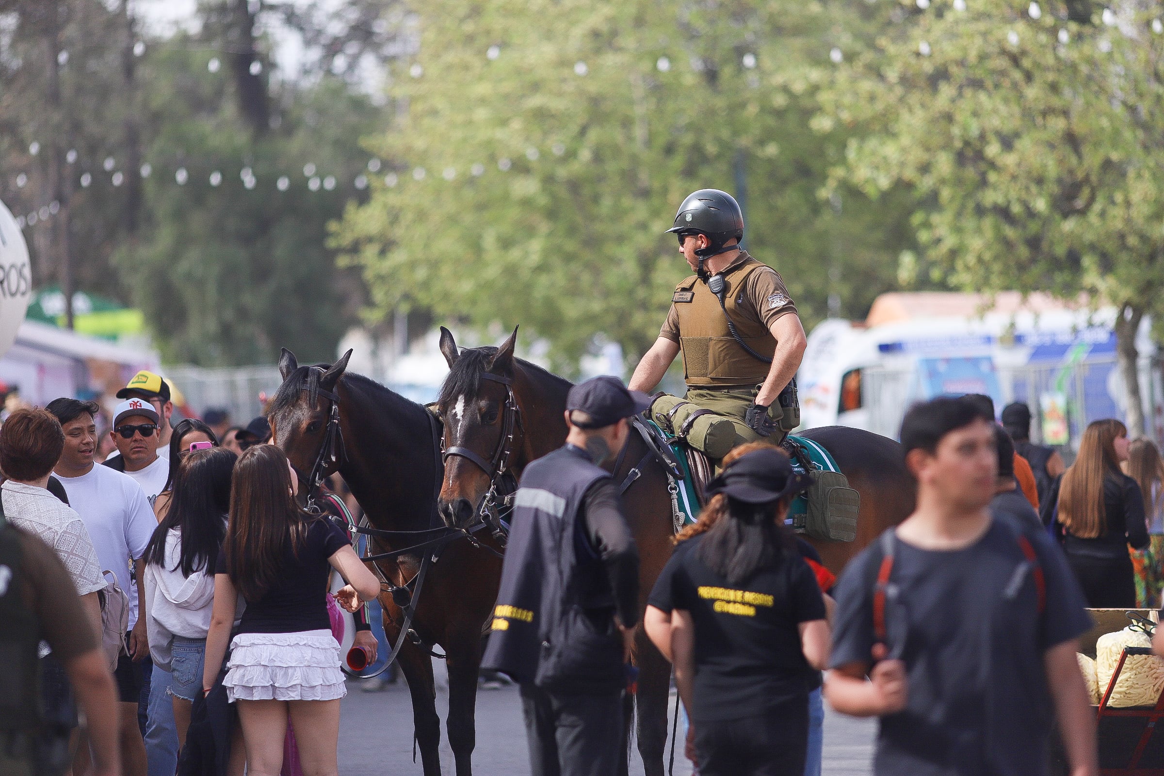Más de 30 mil personas asistieron al primer día de la Gran Fonda del Parque O’Higgins