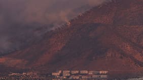 Delegado Durán sostiene que esperan que el incendio forestal en San Carlos de Apoquindo sea controlado durante esta jornada