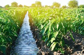 Crean “certificado azul” para promover la gestión hídrica en empresas