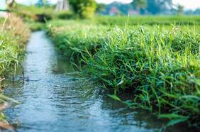 Columna de Rafael Palacios: La autoridad nacional del agua