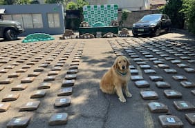 Los Duques de Cali: el operativo que permitió incautar una tonelada de droga que una banda transnacional ingresó a Chile