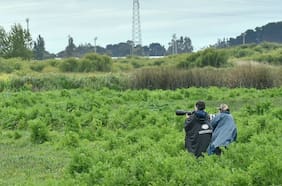 Desafío medioambiental
