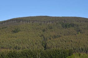 Natureza: CMPC obtiene concesión para terminal portuario en Brasil donde desembolsará cerca de US$170 millones