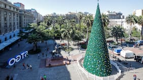 La estratégica alianza de Desbordes con Dr. Simi para lograr el regreso del árbol de Navidad más grande de Santiago