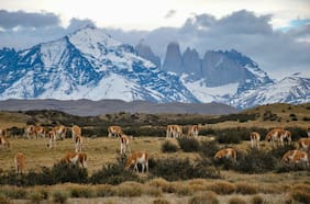 La naturaleza como activo para el desarrollo