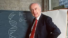 James Watson, codescubridor de la forma de doble hélice del ADN, muere a los 97 años