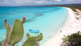 3 playas con aguas turquesas y arenas blancas para unas vacaciones en República Dominicana