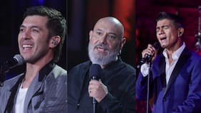 Américo canta a su amor, León Murillo divide al público y Gepe con todo: así fue la tercera noche de Olmué 2026