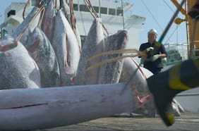 Proyecto pesquero: firmas adelantan efectos en empleo y no descartan paralización de faenas por cobro de patentes al jurel