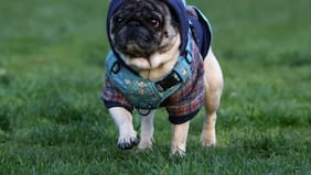 Anuncian frío y precipitaciones para Santiago: en qué comunas habrá lluvia