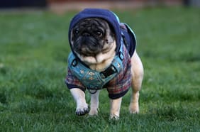 “Granizo, frío y truenos”: las 7 regiones que tendrán tormentas eléctricas, según el aviso de Meteochile