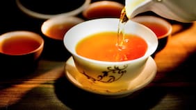 “Harmonía de Té”: el encuentro que reunirá degustaciones, infusiones medicinales y una exposición