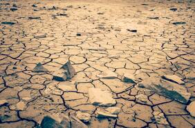 Científicos confirman que 2023 fue el año más caluroso de la historia