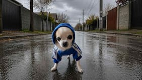 A qué hora comienza la lluvia hoy, según el pronóstico