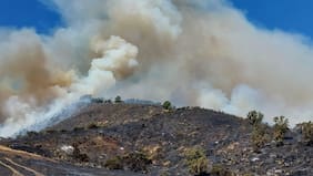 Llaman a evacuar sectores de San Antonio por avance de incendio forestal cercano a viviendas