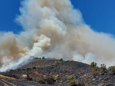 Llaman a evacuar sectores de San Antonio por avance de incendio forestal cercano a viviendas