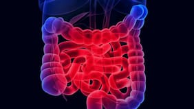 Cómo las bacterias “entrenan” al intestino para combatir la inflamación