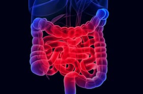 Cómo las bacterias “entrenan” al intestino para combatir la inflamación