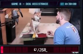 Peanut Butter, el perro speedrunner protagonista del Awesome Games Done Quick 2024
