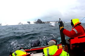 La Antártica se despereza
