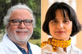 Anamaría Arriagada vs. Renato Acuña: el duelo que se avecina en el Colegio Médico después del fenómeno Siches