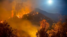 Declaran alerta roja en San José de Maipo por incendio forestal en ladera de cerro
