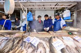 Minsal fiscaliza venta de pescados y mariscos en la RM: se decomisaron más de 10 toneladas de productos antes de Semana Santa