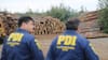 17 detenidos y 40 vehículos incautados: desbaratan mayor banda dedicada al robo de madera en Ñuble