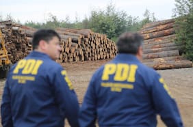 17 detenidos y 40 vehículos incautados: desbaratan mayor banda dedicada al robo de madera en Ñuble