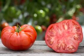 Limachino, cherry o perita: cómo elegir y usar buenos tomates