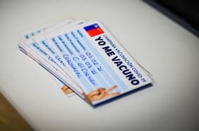 Ministro Paris sobre eventual ‘Carnet Verde’: “Tiene el estímulo de que la gente se vacune”