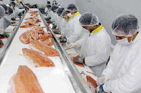 Club Innovación Acuícola se digitaliza en el marco de su primer aniversario